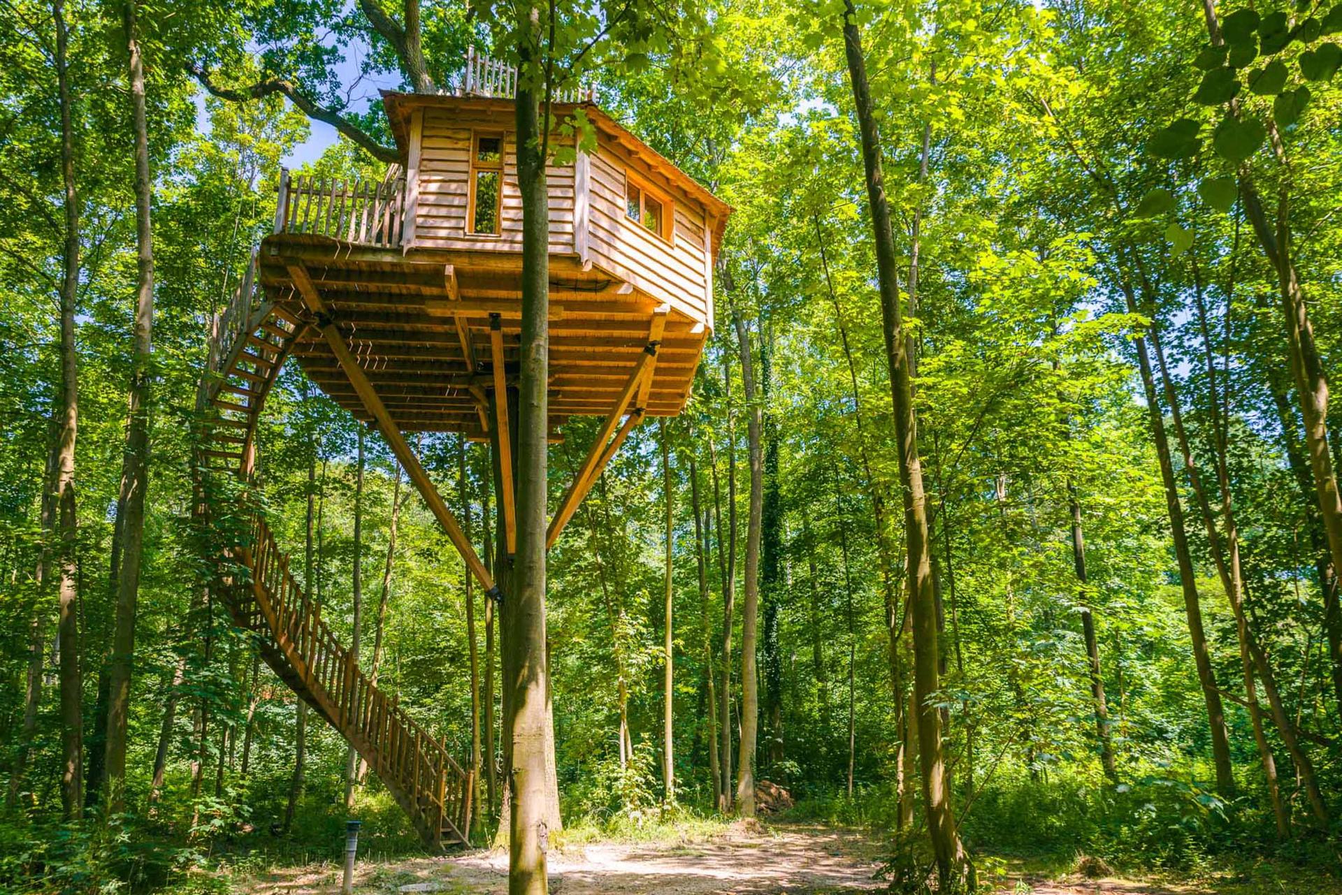 Cabane des Grands Chênes - Coucoo cabanes