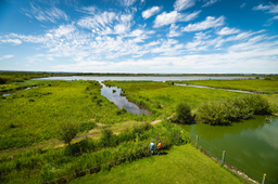 De Jumièges à Marais-Vernier – 45 km 