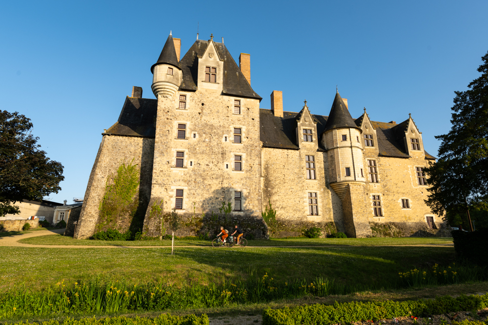Day 6: La Flèche – Baugé-en-Anjou (21 km): Nature and History Immersion, Biology Lessons