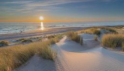 ⛵ En Mer du Nord : Dunes, Barrages et Villages Pittoresques avant Hoek van Holland