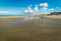 🎡 La Dernière Ligne Droite : Les Dunes de Scheveningen à Noordwijk (Paris-Amsterdam)