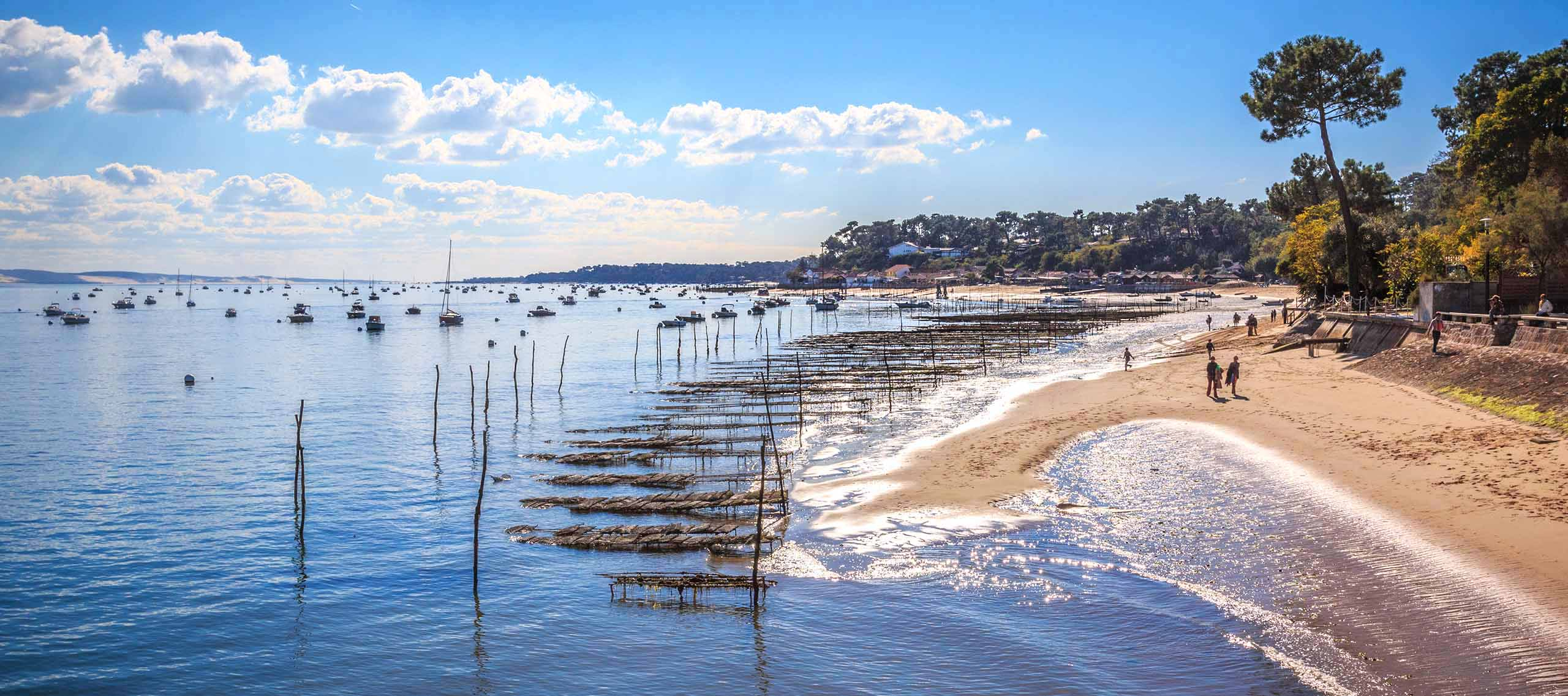 Jour 17 : Bordeaux - Lège-Cap-Ferret : entre vignobles, pins et brise océane (71 km)