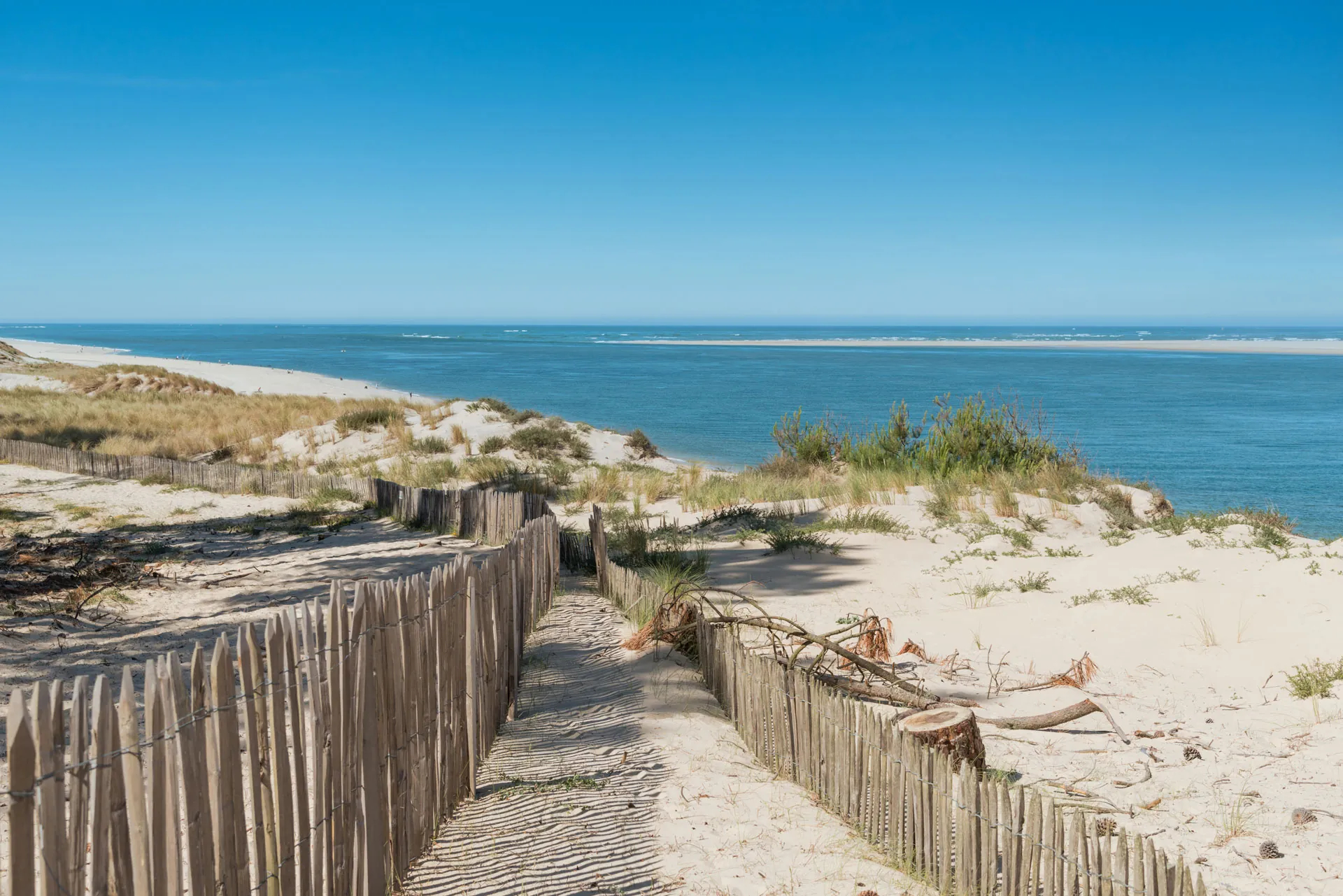 Jour 18 : Lège-Cap-Ferret - Arcachon : une escapade entre nature et huîtres fraîches (41 km)