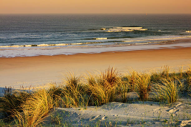 Jour 20 : Biscarosse-Plage - Mimizan-Plage : le long de l'océan Atlantique (51 km)