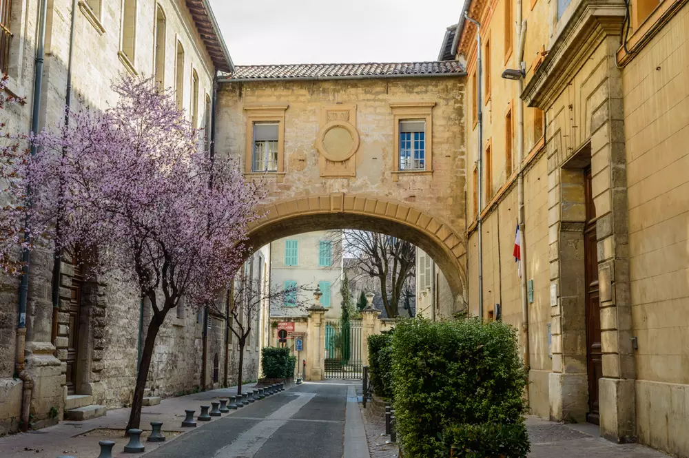 Day 15: Orange to Avignon, the end of the Paris-Marseille bike route approaches (35km)