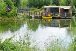 From Auxerre to Chablis, between vines and flavors - Paris Marseille by bike