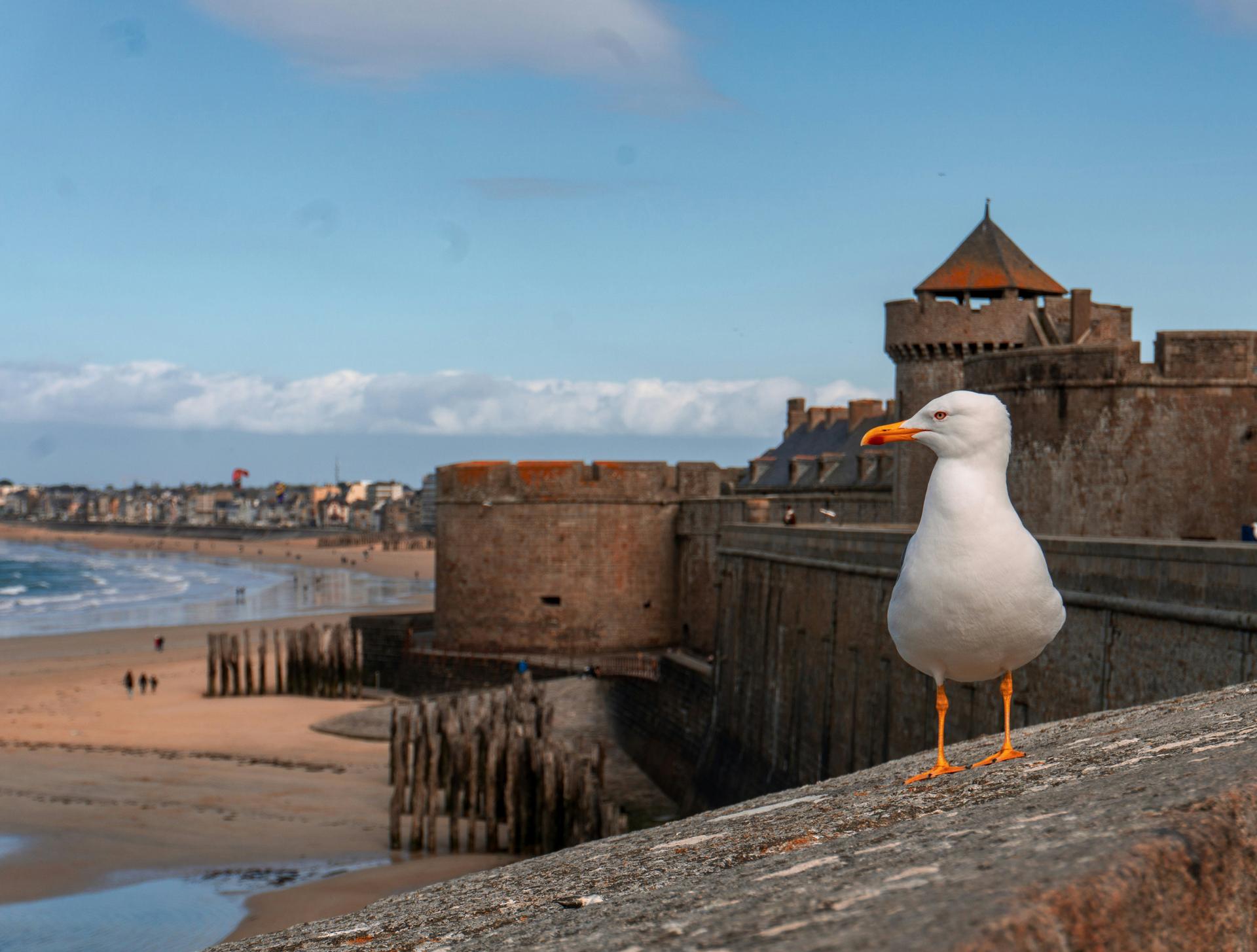 Saint-Malo - Roscoff by bike: The adventure on the Vélomaritime