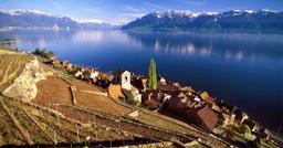 Étape 9 : Rolle - Villeneuve (59 km) - Les vignobles du Lavaux sur le Tour du Lac Léman à vélo