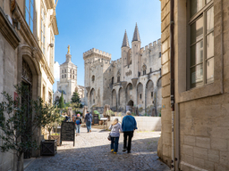 Étape 9 de la ViaRhôna : D'Orange à Avignon à vélo