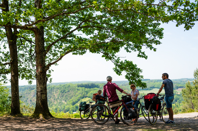 Véloscénie et Vélobuissonnière