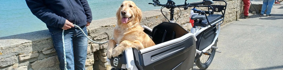 Cover Image for Réussir à voyager à vélo avec son chien