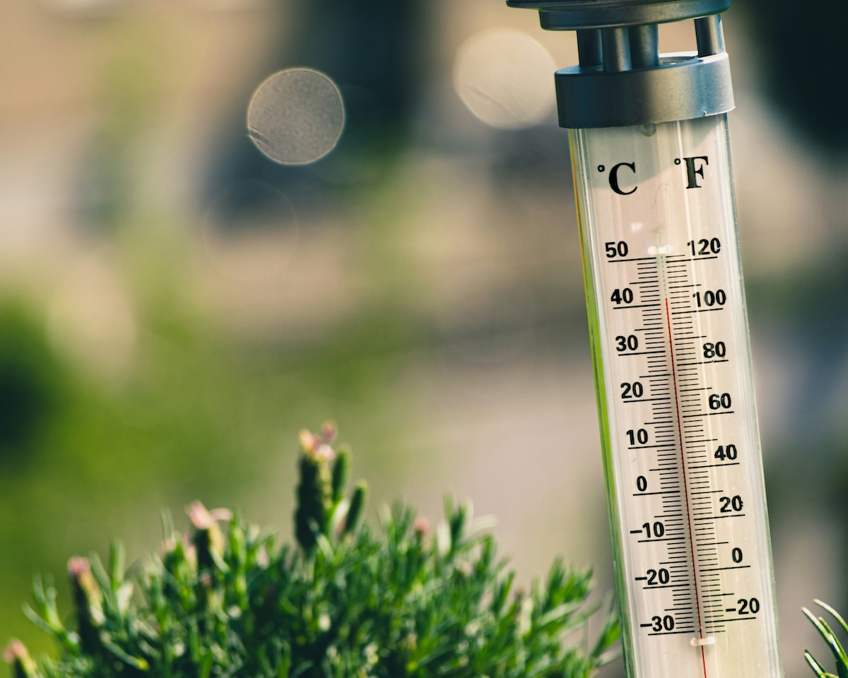 Cover Image for Canicule & vélo : nos astuces pour rouler à vélo quand il fait chaud (sans se liquéfier sur place)