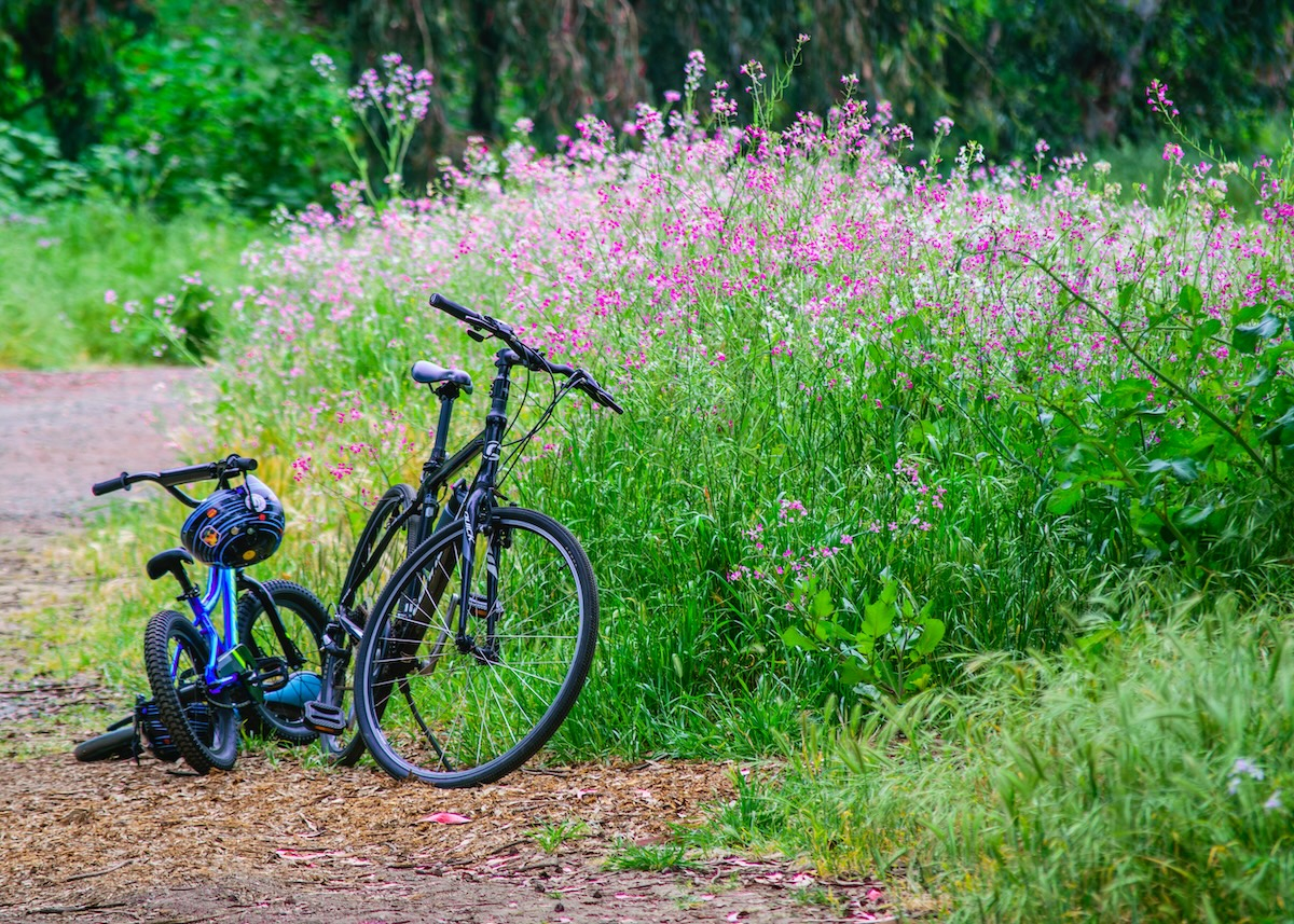 Cover Image for Itinéraires vélo en France : top 12 des plus beaux parcours