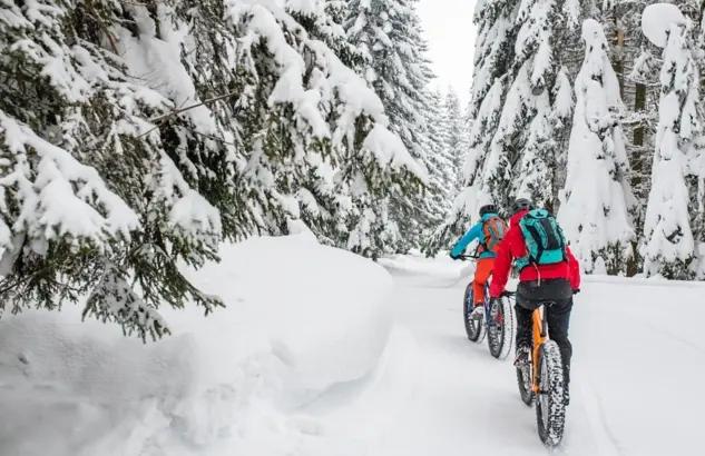 Cover Image for Réussir son voyage à vélo en hiver ? Guide complet