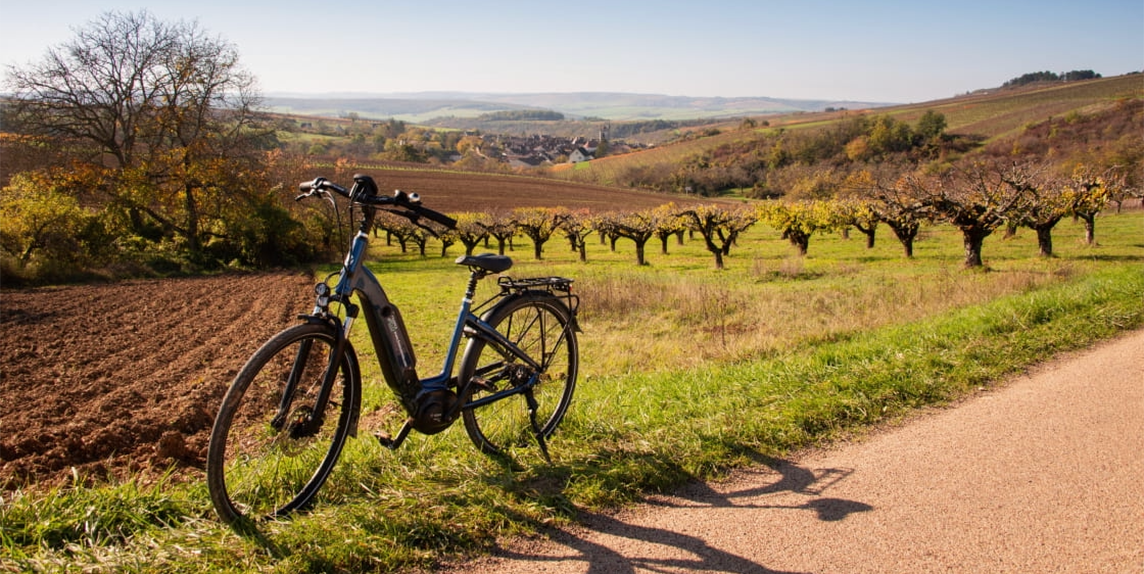 Cover Image for Why choose France for a cycling trip?