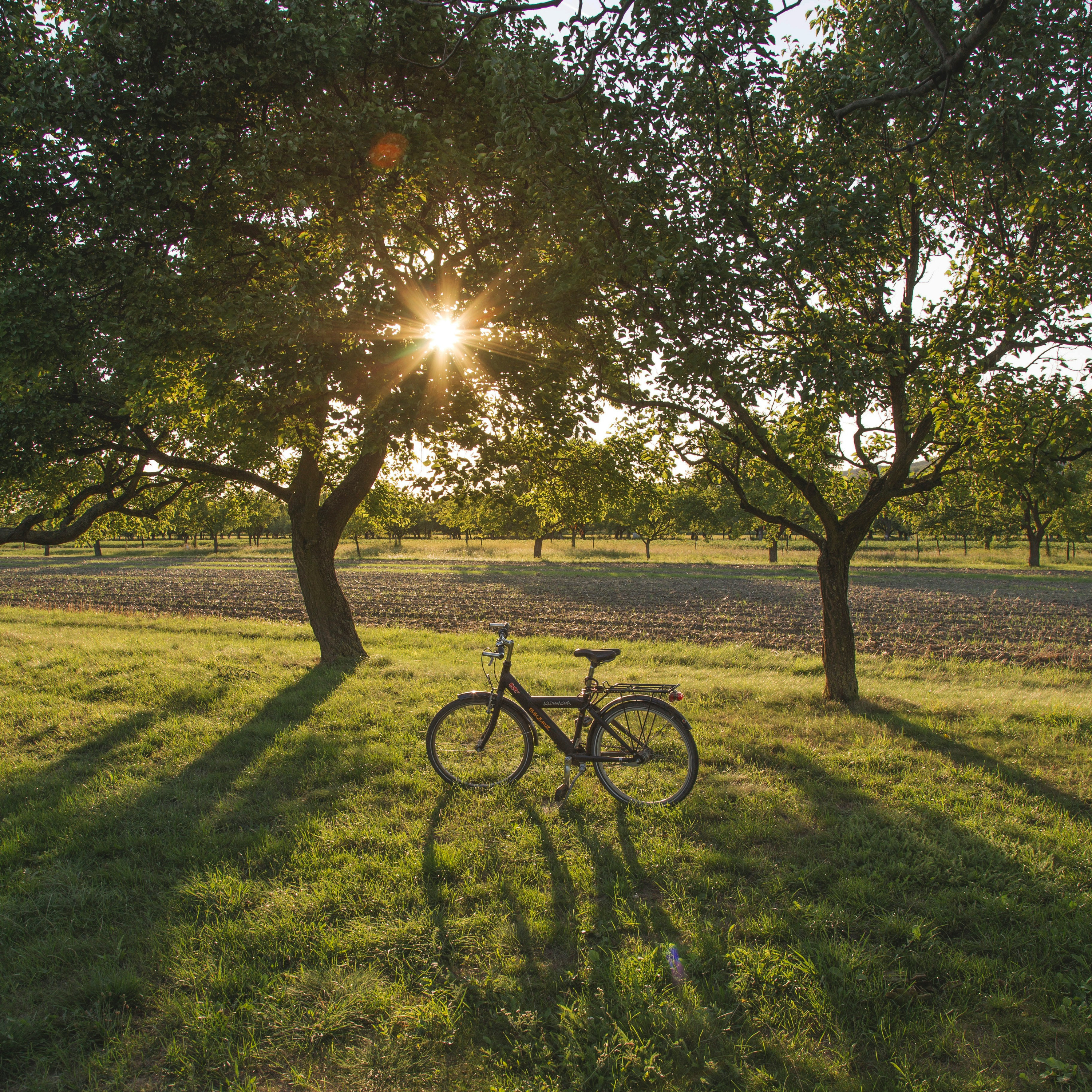 Cover Image for Quel vélo de voyage choisir pour son premier voyage à vélo ?