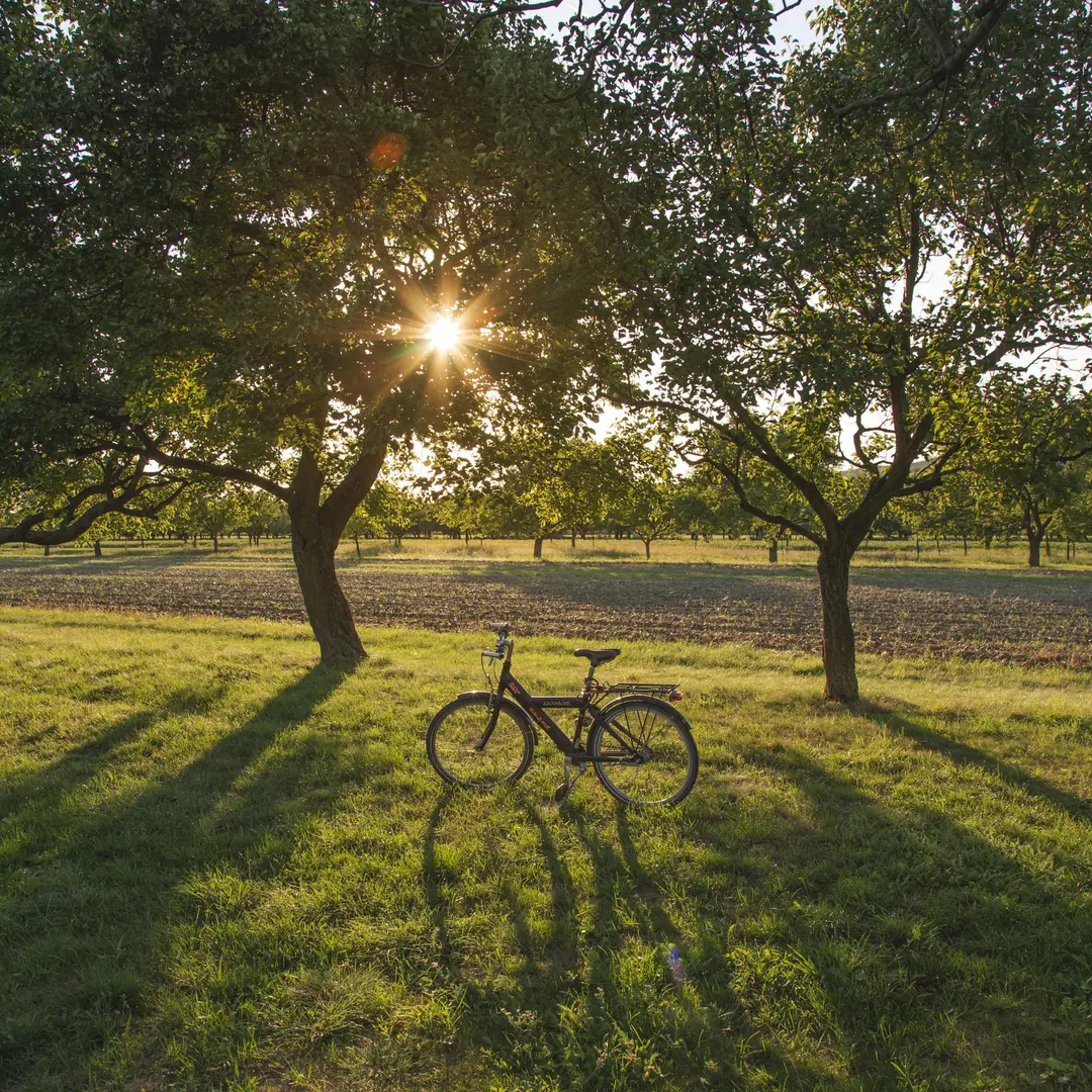 Cover Image for Which touring bike to choose for your first bike trip?