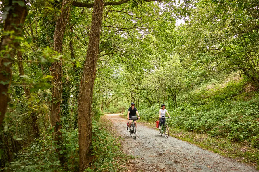 Cover Image for Bike travel: the benefits for health and the planet