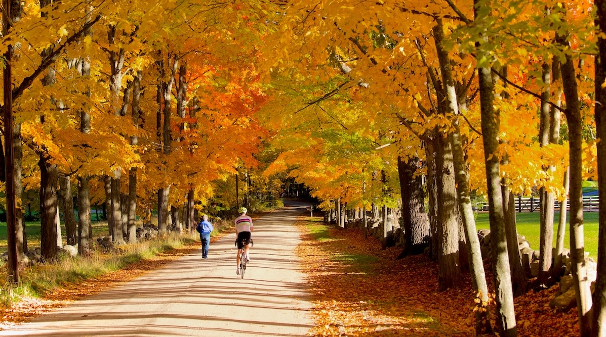 Cover Image for Voyage à vélo en automne : 8 bonnes raisons de troquer l'été pour l'arrière-saison